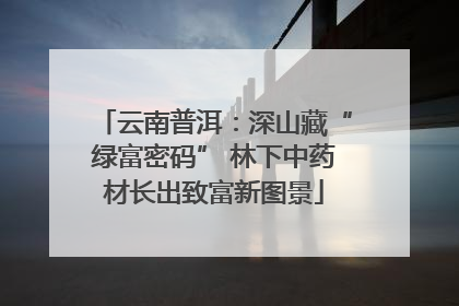 云南普洱：深山藏“绿富密码” 林下中药材长出致富新图景