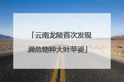 云南龙陵首次发现濒危物种大叶苹婆
