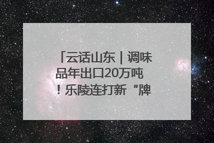 云话山东｜调味品年出口20万吨！乐陵连打新“牌”助力企业出海