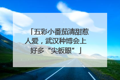 五彩小番茄清甜惹人爱，武汉种博会上好多“尖板眼”