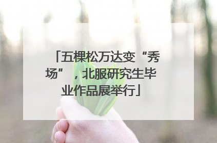 五棵松万达变“秀场”，北服研究生毕业作品展举行