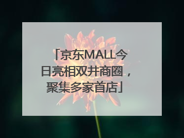 京东MALL今日亮相双井商圈，聚集多家首店