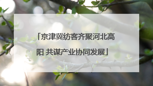 京津冀纺客齐聚河北高阳 共谋产业协同发展