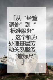 从“经验调处”到“标准服务”，这个镇为处理基层劳动关系服务“造标尺”