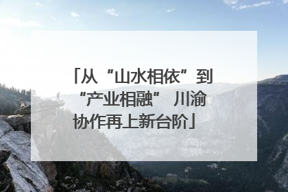 从“山水相依”到“产业相融” 川渝协作再上新台阶