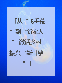 从“飞手荒”到“新农人” 激活乡村振兴“新引擎”