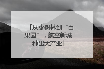 从枣树林到“百果园”，航空新城种出大产业