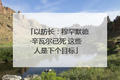 以防长：穆罕默德·辛瓦尔已死 这些人是下个目标