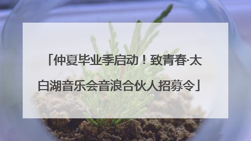 仲夏毕业季启动！致青春·太白湖音乐会音浪合伙人招募令