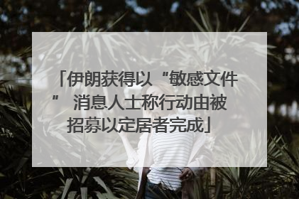 伊朗获得以“敏感文件” 消息人士称行动由被招募以定居者完成