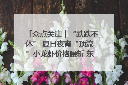 众点关注｜“跌跌不休” 夏日夜宵“顶流”小龙虾价格腰斩 东营人的快乐来了