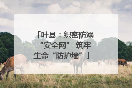 叶县：织密防溺“安全网” 筑牢生命“防护墙”