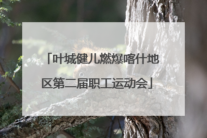 叶城健儿燃爆喀什地区第二届职工运动会