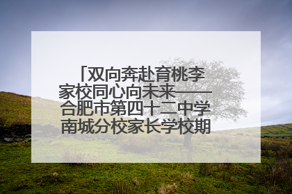 双向奔赴育桃李 家校同心向未来——合肥市第四十二中学南城分校家长学校期末总结会圆满召开