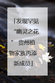 发现罕见“幽灵之花” 贵州植物家族再添新成员