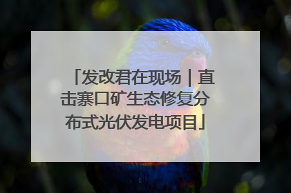 发改君在现场｜直击寨口矿生态修复分布式光伏发电项目