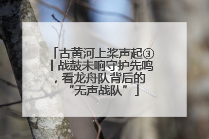 古黄河上桨声起③丨战鼓未响守护先鸣，看龙舟队背后的 “无声战队”