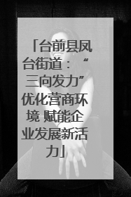 台前县凤台街道：“三向发力”优化营商环境 赋能企业发展新活力