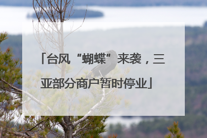 台风“蝴蝶”来袭，三亚部分商户暂时停业