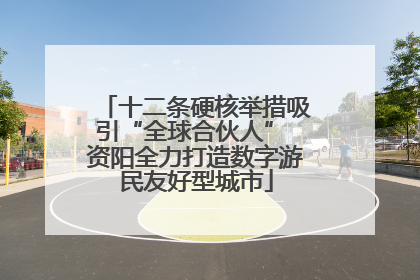 十二条硬核举措吸引“全球合伙人” 资阳全力打造数字游民友好型城市