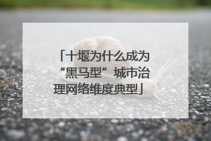 十堰为什么成为“黑马型”城市治理网络维度典型