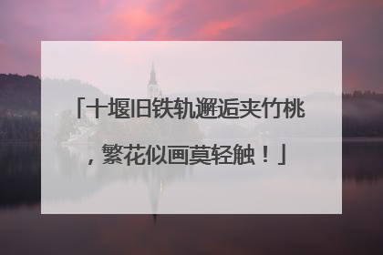 十堰旧铁轨邂逅夹竹桃，繁花似画莫轻触！