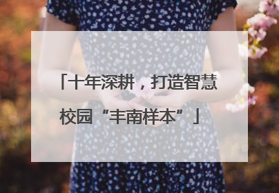 十年深耕，打造智慧校园“丰南样本”