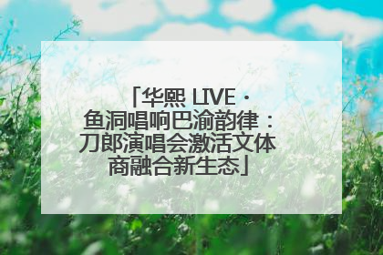 华熙 LIVE・鱼洞唱响巴渝韵律：刀郎演唱会激活文体商融合新生态