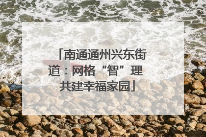 南通通州兴东街道：网格“智”理 共建幸福家园