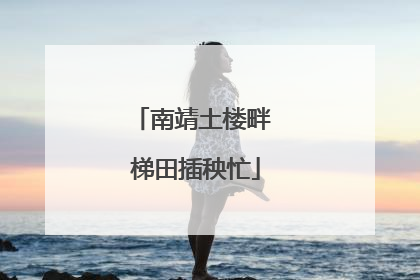 南靖土楼畔 梯田插秧忙