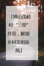 博山茂岭村“三堂”并蒂，解锁乡村文明新风