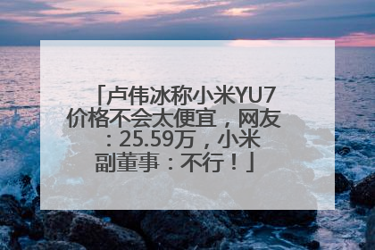 卢伟冰称小米YU7价格不会太便宜，网友：25.59万，小米副董事：不行！