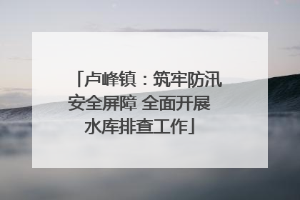 卢峰镇：筑牢防汛安全屏障 全面开展水库排查工作