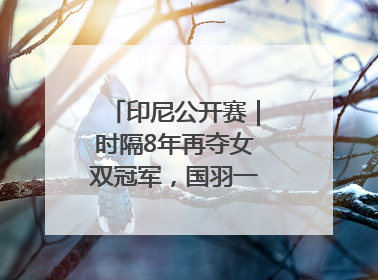 印尼公开赛｜时隔8年再夺女双冠军，国羽一金一银收官