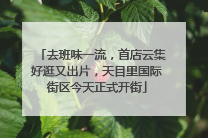 去班味一流，首店云集好逛又出片，天目里国际街区今天正式开街