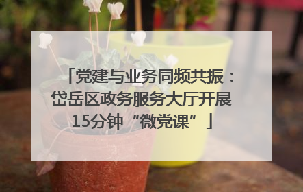 党建与业务同频共振：岱岳区政务服务大厅开展15分钟“微党课”