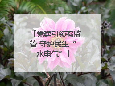 党建引领强监管 守护民生“水电气”