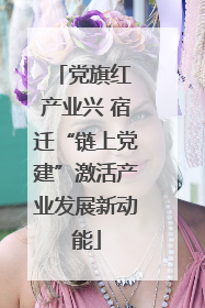 党旗红 产业兴 宿迁“链上党建”激活产业发展新动能