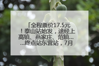 全程票价17.5元！泰山站始发，途经上高镇、燕家庄、范镇……终点站东营站，7月1日开通！