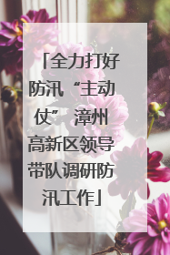 全力打好防汛“主动仗” 漳州高新区领导带队调研防汛工作