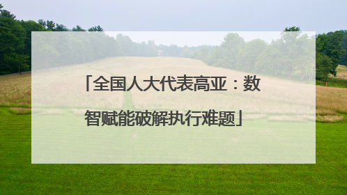 全国人大代表高亚：数智赋能破解执行难题
