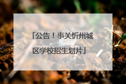 公告！事关忻州城区学校招生划片