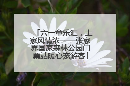 六一童乐汇，土家风情浓——张家界国家森林公园门票站暖心宠游客