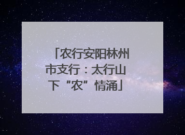 农行安阳林州市支行：太行山下“农”情涌