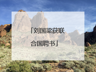 刘国梁获联合国聘书