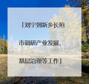 刘宁到新乡长垣市调研产业发展、基层治理等工作