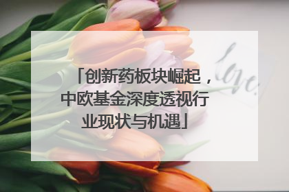 创新药板块崛起，中欧基金深度透视行业现状与机遇