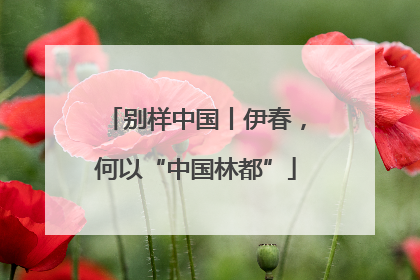 别样中国丨伊春，何以“中国林都”