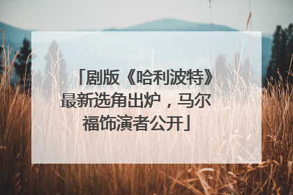 剧版《哈利波特》最新选角出炉，马尔福饰演者公开