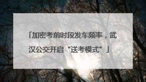 加密考前时段发车频率，武汉公交开启“送考模式”